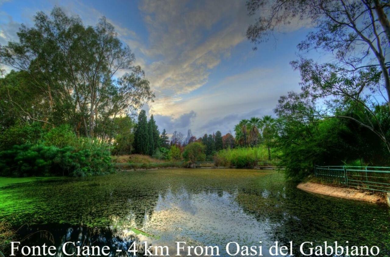Oasi Del Gabbiano Syrakus
