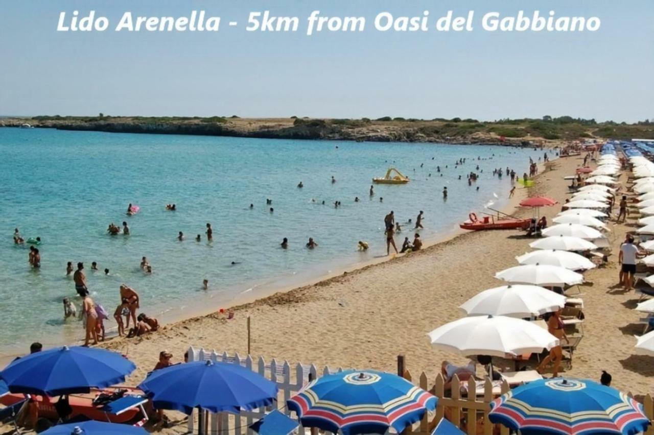Oasi Del Gabbiano