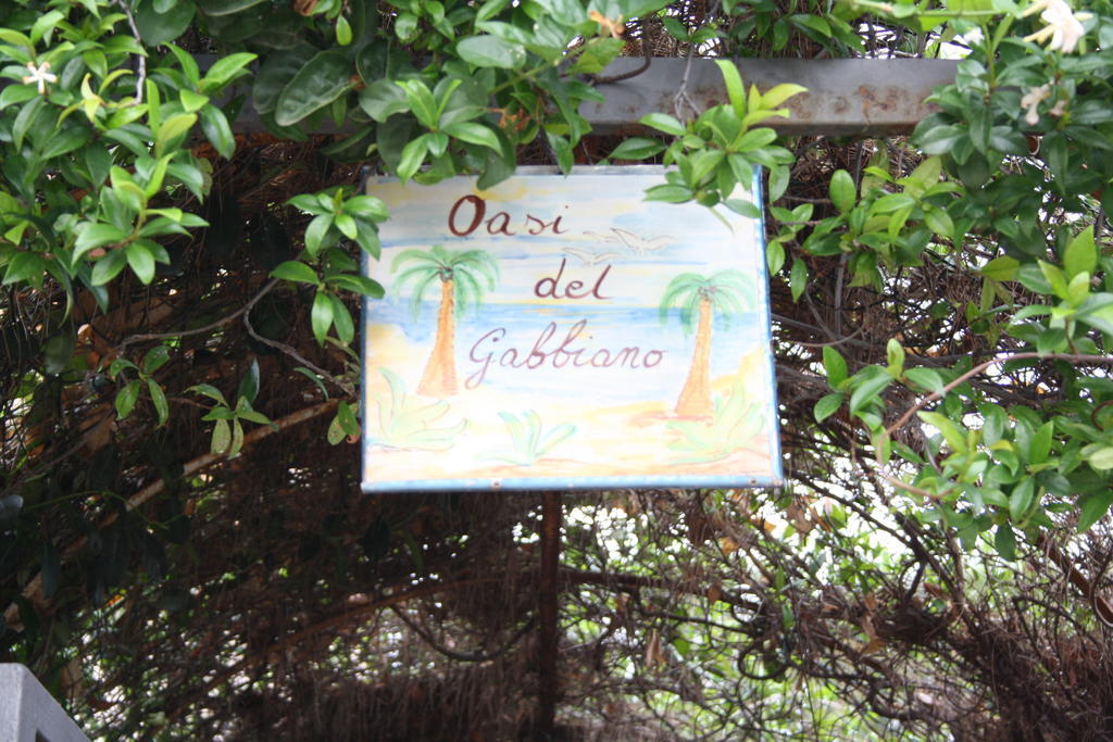 Bed & Breakfast Oasi Del Gabbiano Syracuse